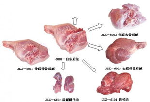 猪肉副产品的高值化利用 食品生产技术与产业发展路径