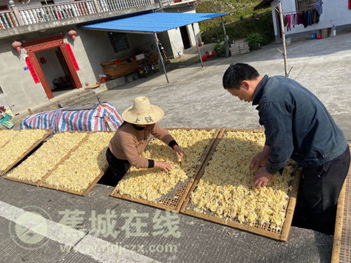 “九都溪边” 肉制品加工闯出富民兴村路